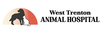 Link to Homepage of West Trenton Animal Hospital