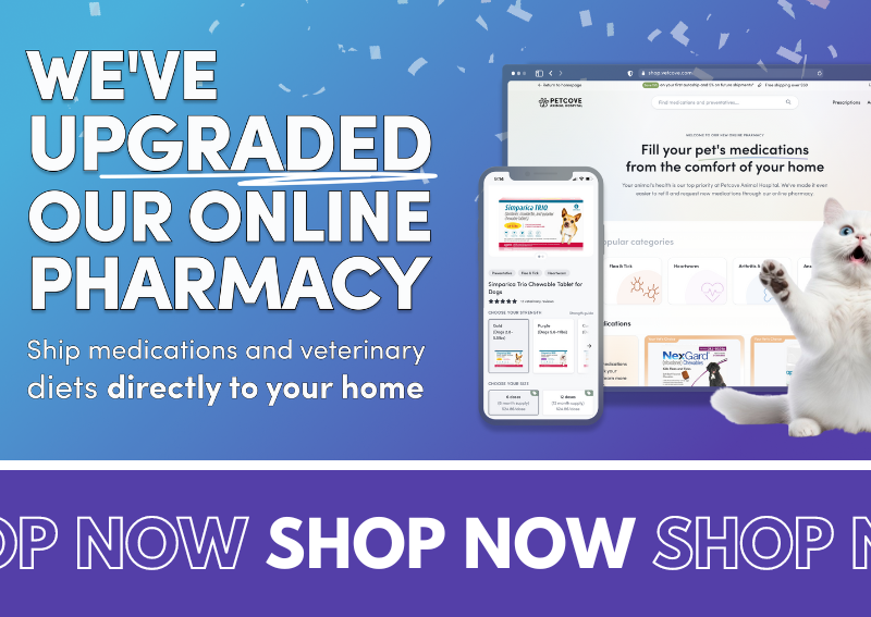 Carousel Slide 1: Shop our new and improved online pharmacy!